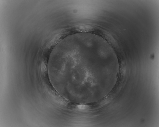 X0000111460371200907201118