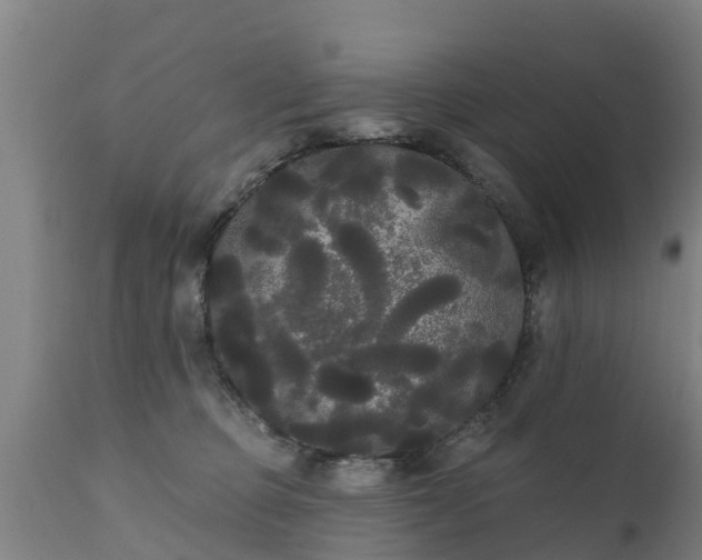 X0000111460373200907201118