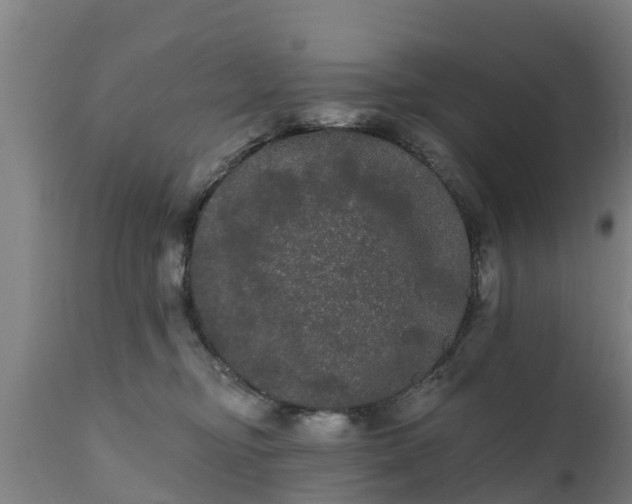 X0000111460374200907201118