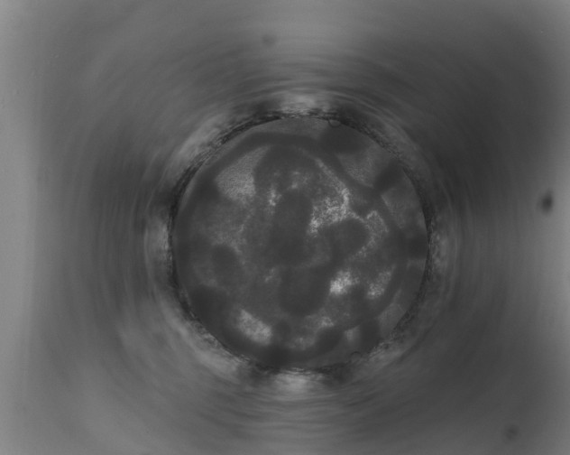 X0000111460375200907201118