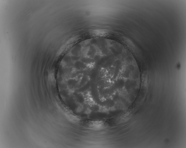 X0000111460377200907201118