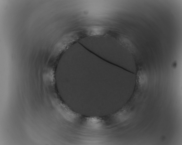 X0000111460380200907201118