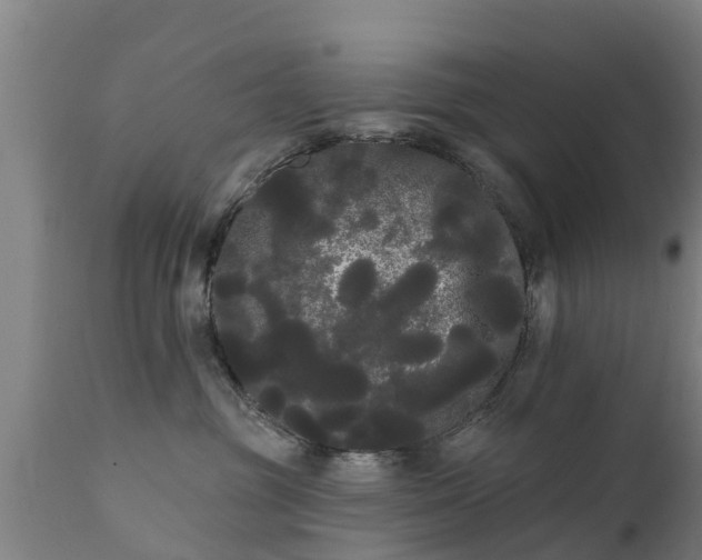 X0000111460381200907201118