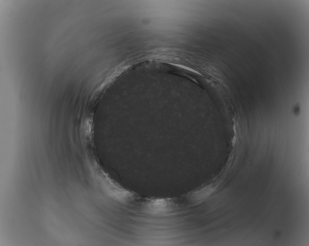 X0000111460382200907201118