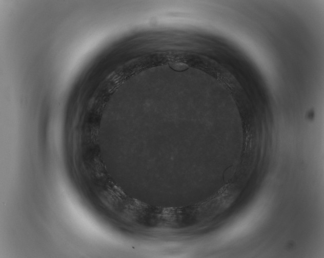 X0000111460383200907201118