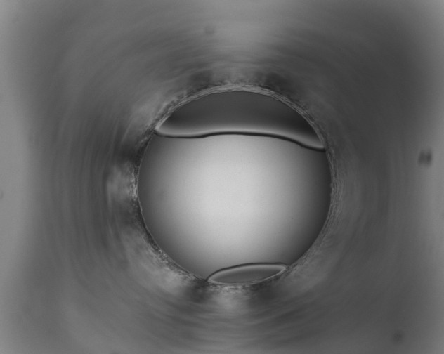 X0000111460384200907201118