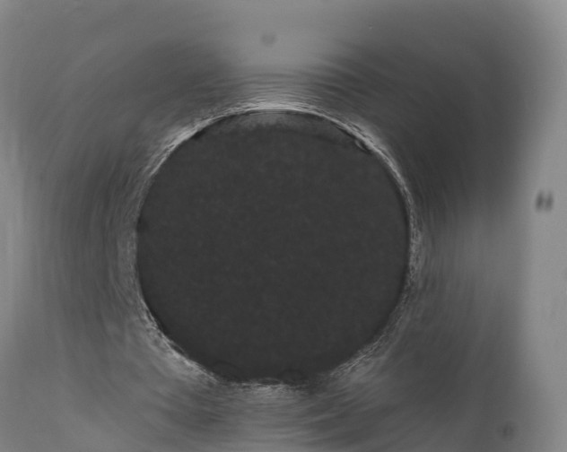 X0000111460385200907201118