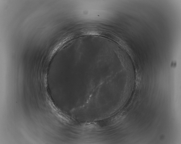 X0000111460386200907201118