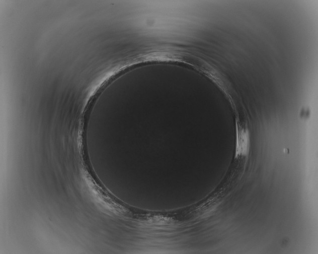 X0000111460387200907201118