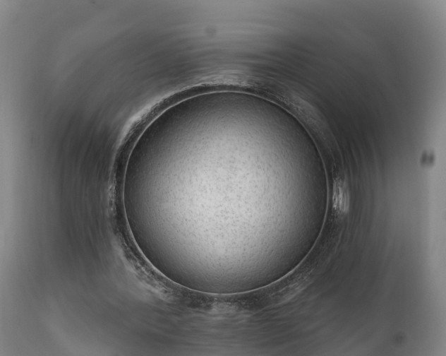 X0000111460388200907201118