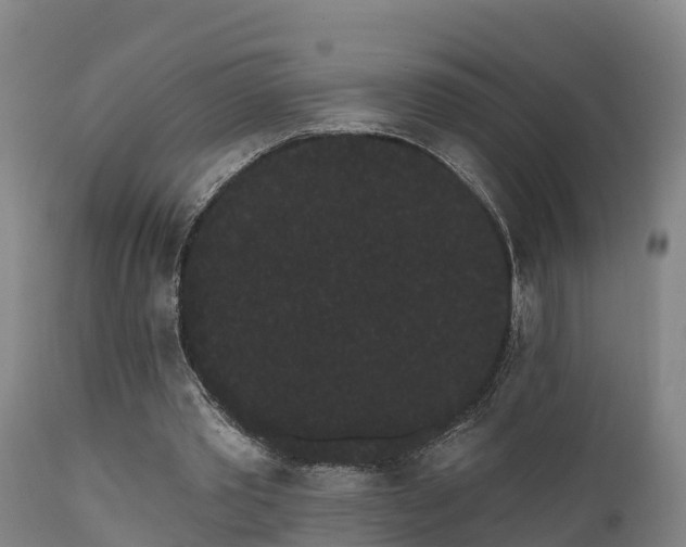 X0000111460389200907201118