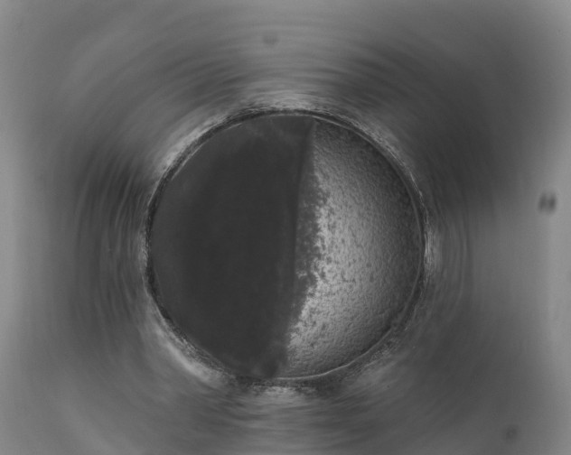 X0000111460390200907201118