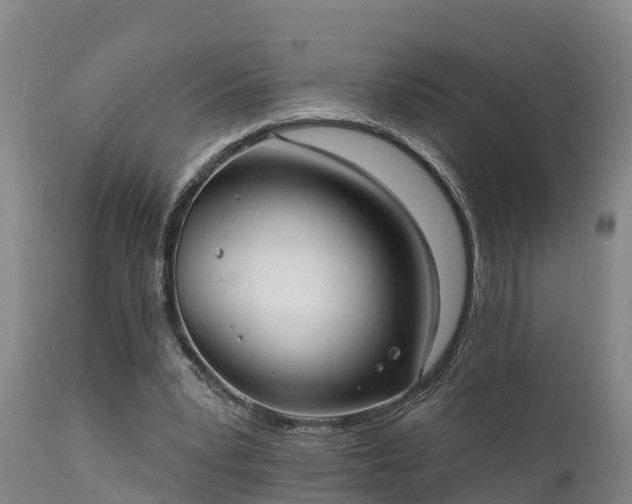 X0000111460391200907201118