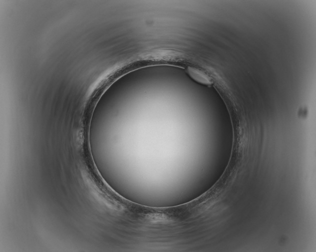 X0000111460392200907201118