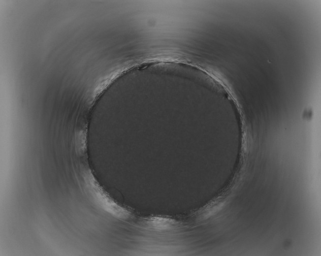 X0000111460393200907201118