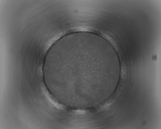 X0000111460394200907201118