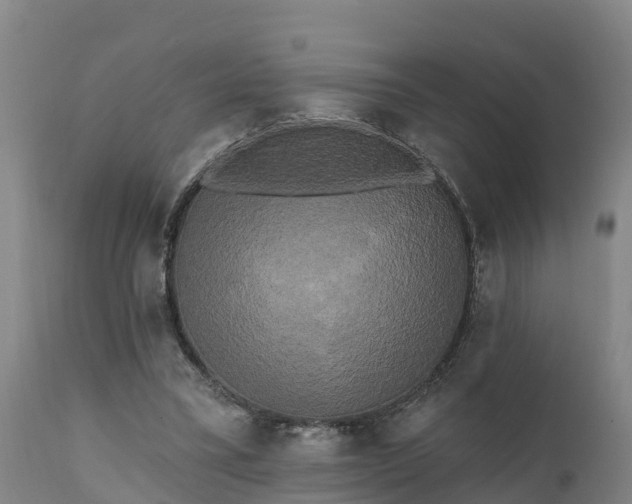 X0000111460395200907201117