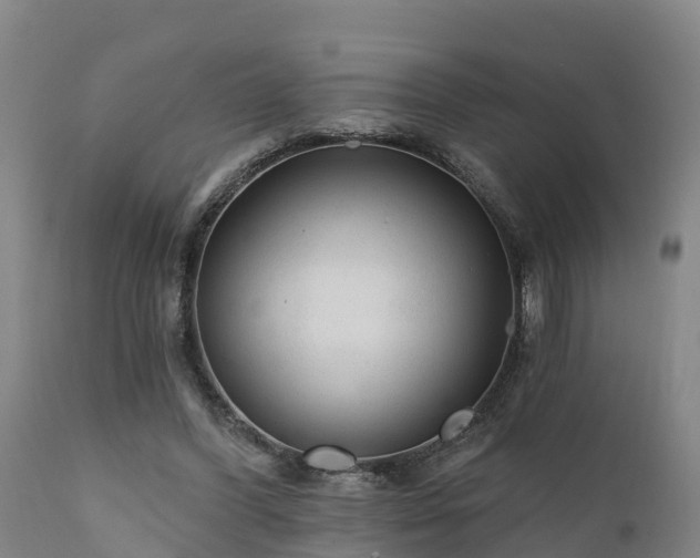 X0000111460396200907201117