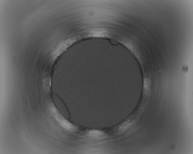 X0000111460397200907201117