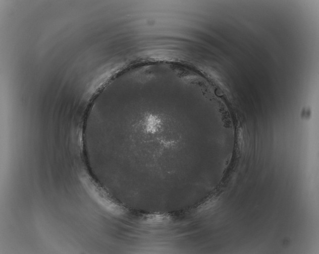 X0000111460398200907201117