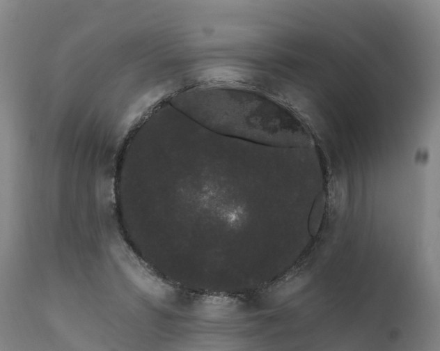 X0000111460399200907201117