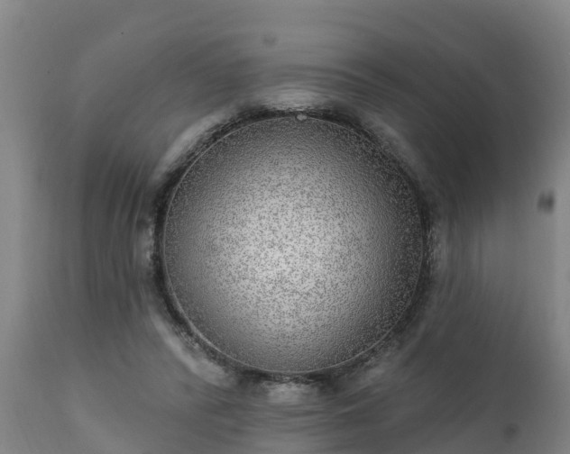 X0000111460400200907201117