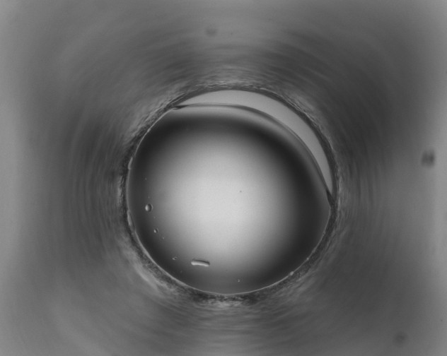 X0000111460401200907201117