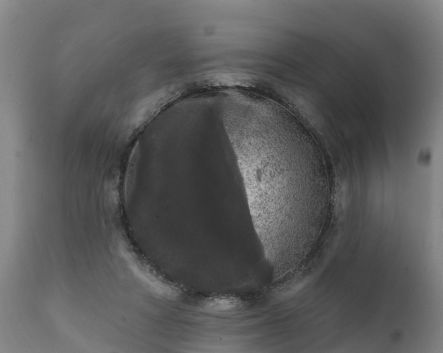 X0000111460402200907201117