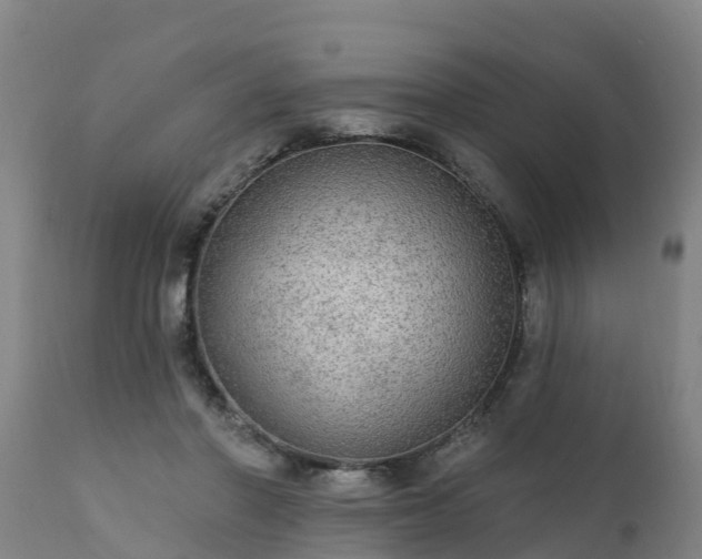 X0000111460406200907201117