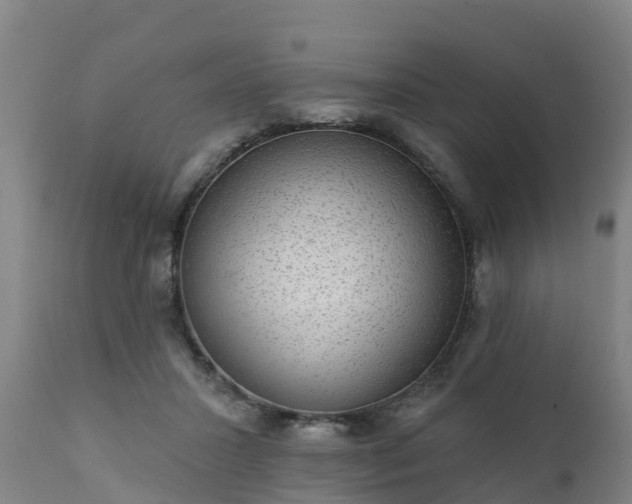 X0000111460407200907201117