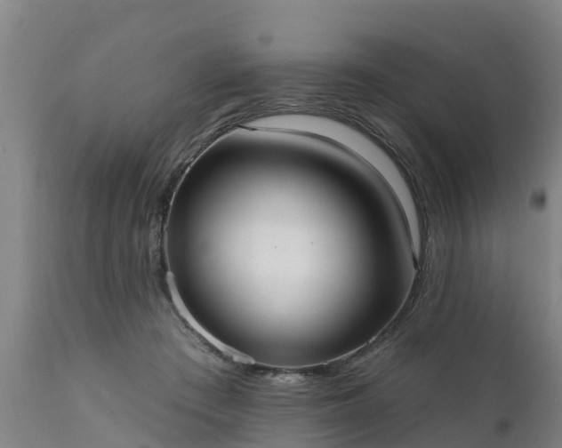 X0000111460409200907201117