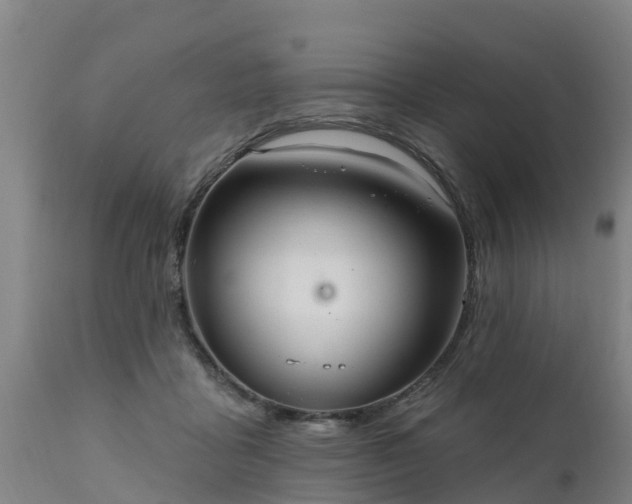 X0000111460411200907201117