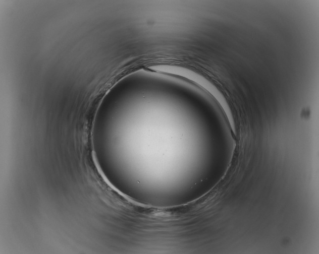 X0000111460413200907201117