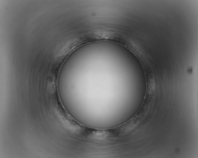 X0000111460414200907201117