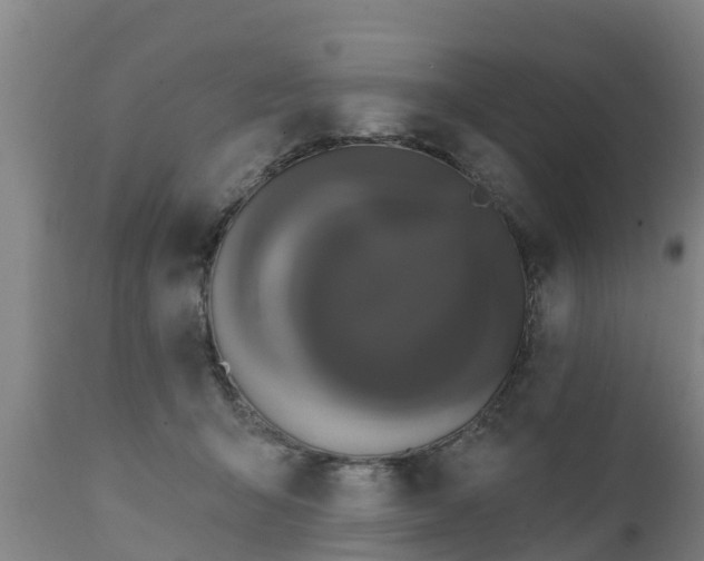 X0000111460415200907201117