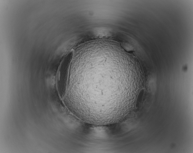 X0000111460417200907201117