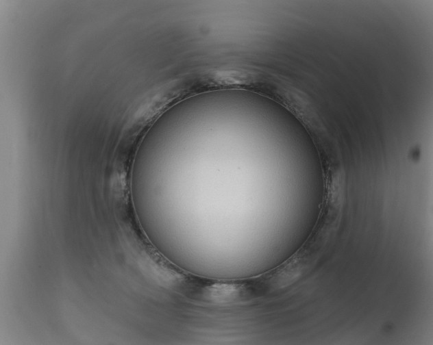 X0000111460418200907201117