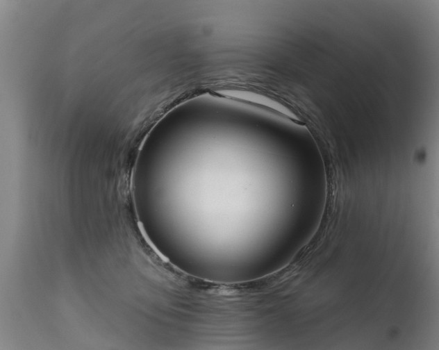 X0000111460419200907201117