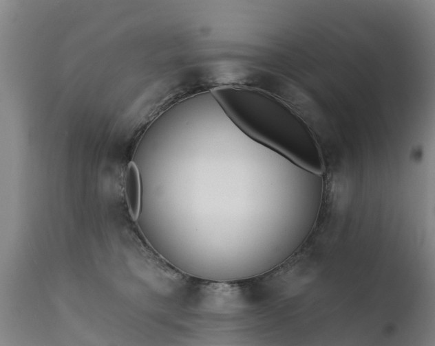 X0000111460421200907201117