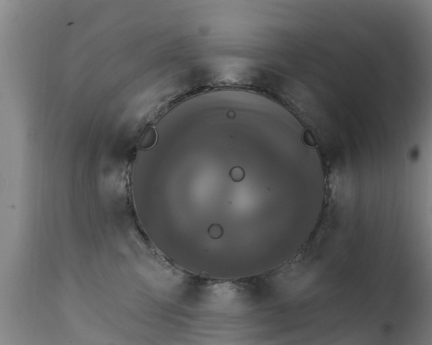 X0000111460423200907201117