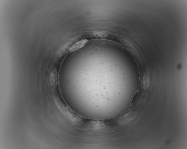 X0000111460424200907201117