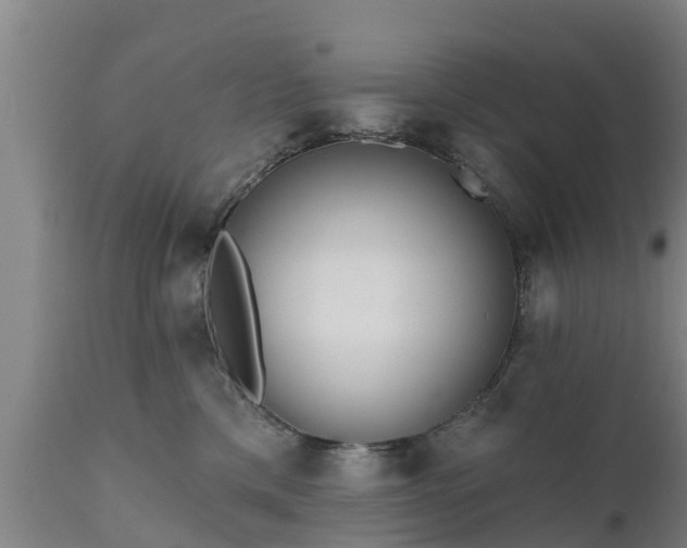 X0000111460425200907201117