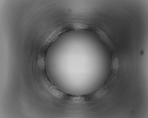 X0000111460426200907201117