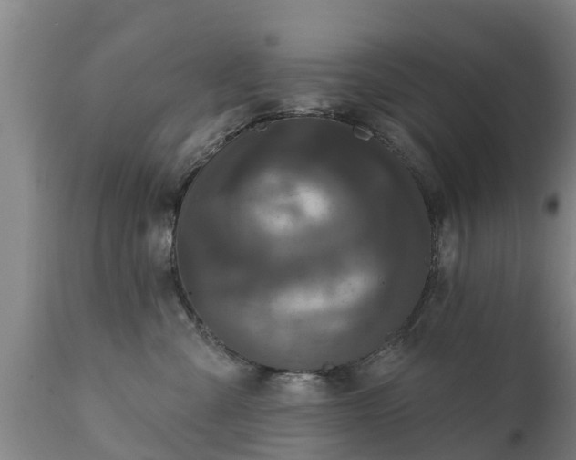 X0000111460427200907201117