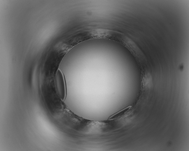 X0000111460429200907201117