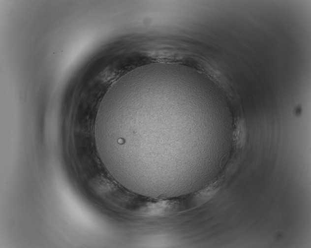 X0000111460430200907201117