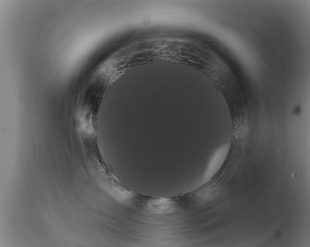 X0000111460431200907201117