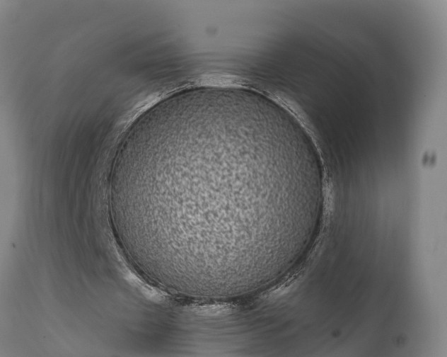 X0000111460433200907201116