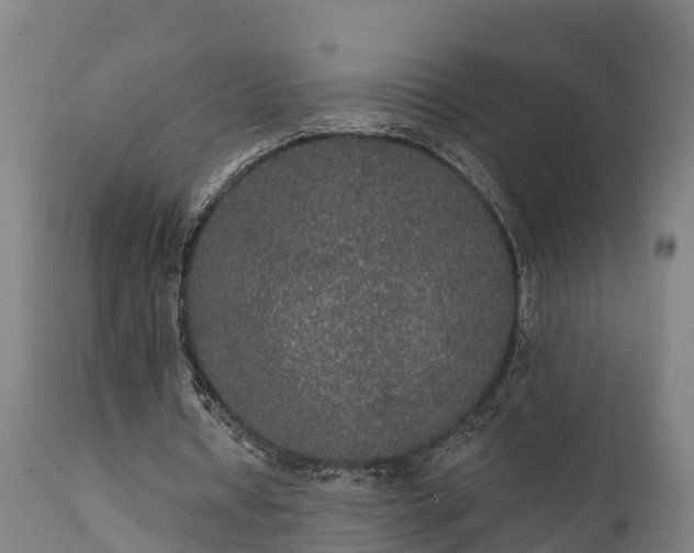 X0000111460434200907201116