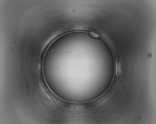 X0000111460435200907201116